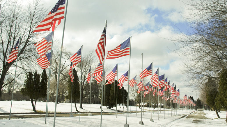 Avenue of 444 Flags in Hermitage, Pennsylvania