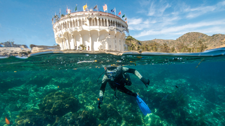 Scuba diver under the water on Santa Catalina Island