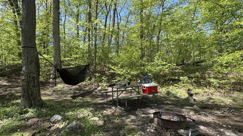 Hammock and picnic table surrounded by trees at Fahnestock State Park Campground in Carmel Hamlet, New York