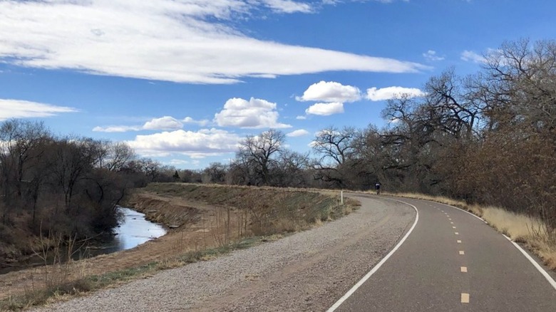 Paseo del Bosque Trail in Albuquerque, NM