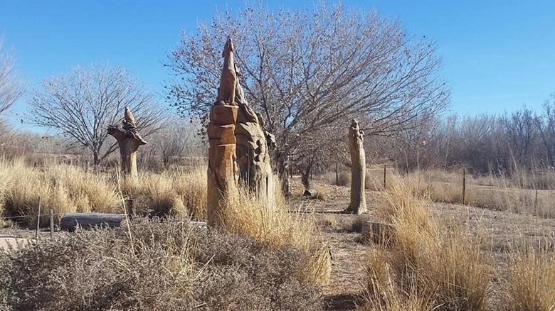 Carvings along the Paseo del Bosque Trail