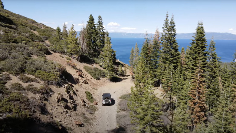 A view of Lake Tahoe from shore