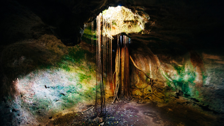 Cueva de Ambrosio in Varadero, Cuba