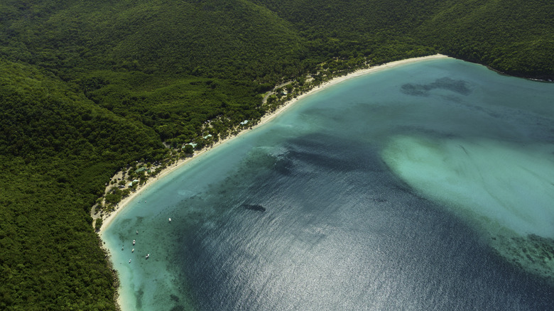 Aerial view of forests around Magens Bay