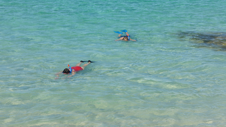 View of two snorkelers off the coast of Loblolly Bay Beach