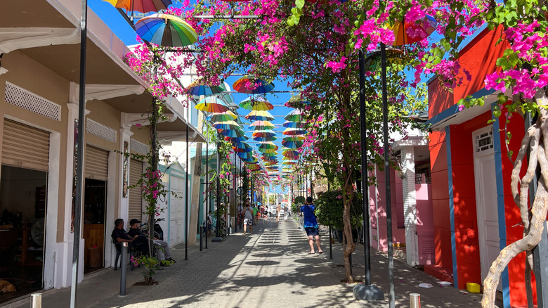 Umbrella Street in Puerto Plata, Dominican Republic