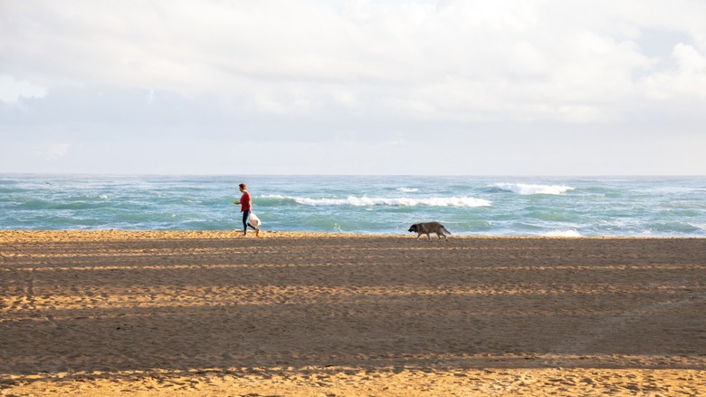 A woman and her dog on Playa La Vacama Beach