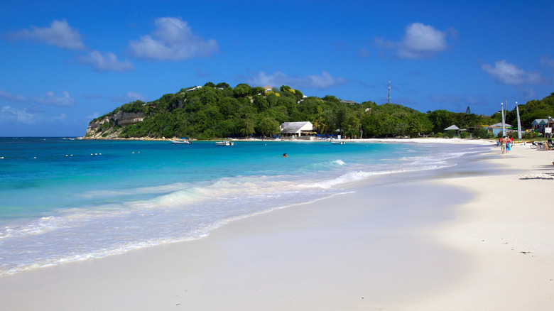 a white sand beach with calm turquoise water and a tree-covered hill at the end