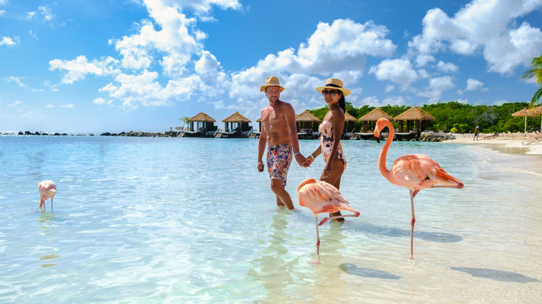 A couple joined by flamingos on the beach in Aruba