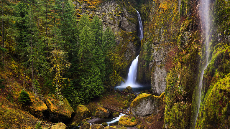 Tall waterfall cascades through canyon