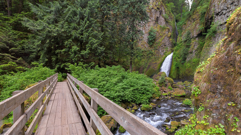 Wooden footbridge over creek