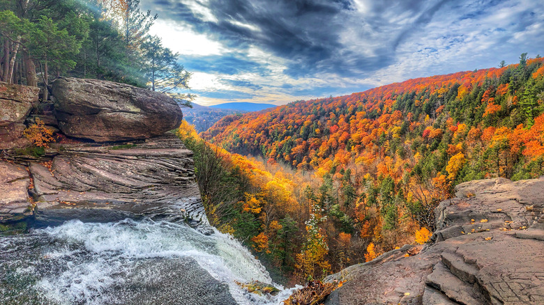 A breathtaking view of a forest full of fall foliage beyond a waterfall.