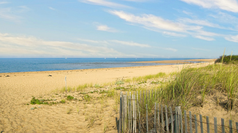 Sandbar and beach grass along Race Point Beach in Cape Cod, Massachusetts