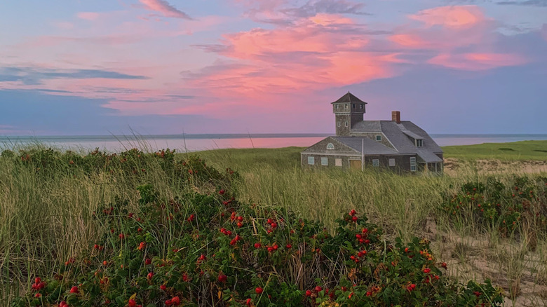 Sunset and cranberry brambles at the Old Harbor Life-Saving Station in Race Point Beach, Massachusetts