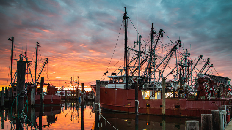 Viking Village at sunrise