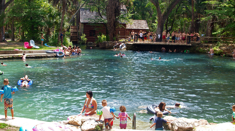 Swimmers at the Juniper Springs swimming area