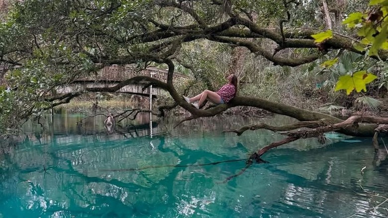 person sitting on tree limb with blue water underneath
