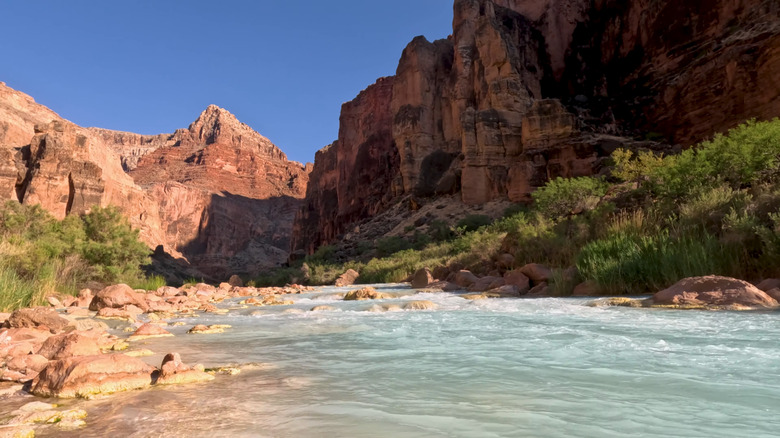 River at the end of hopi salt trail grand canyon