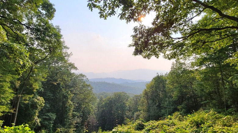 A view from an overlook on Roaring Fork Motor Nature Trail