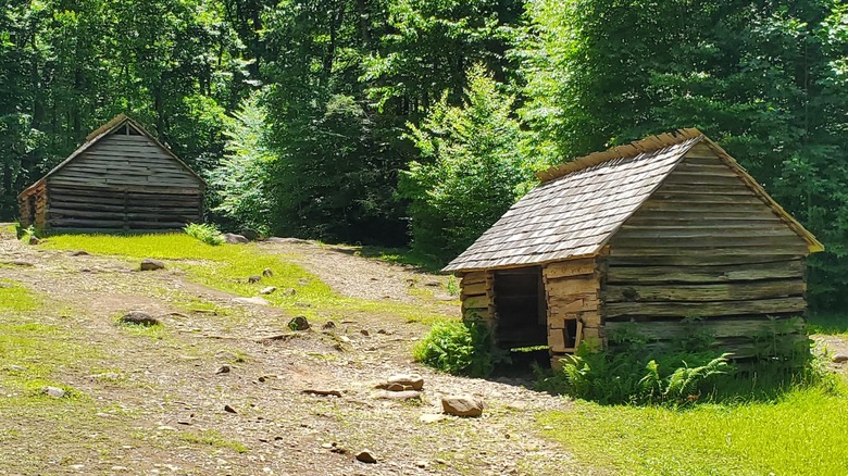 Historic log buildings along Roaring Fork Motor Nature Trail