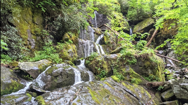 The Place of a Thousand Drips, a roadside waterfall on the Roaring Fork Motor Nature Trail