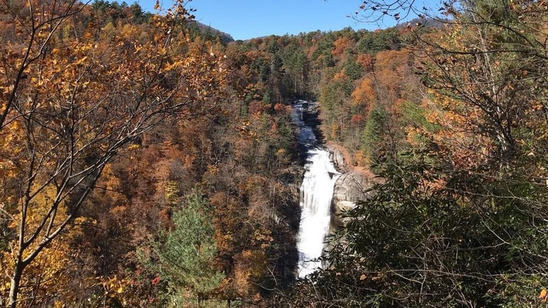 View of Lower Whitewater Falls in North Carolina