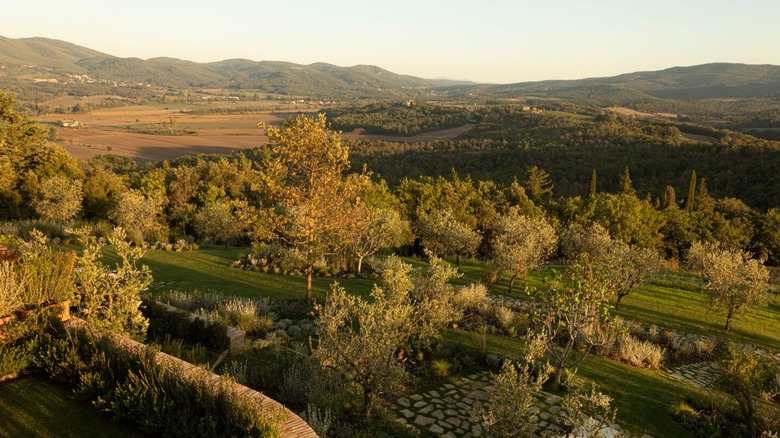 View of property around Castello di Casole