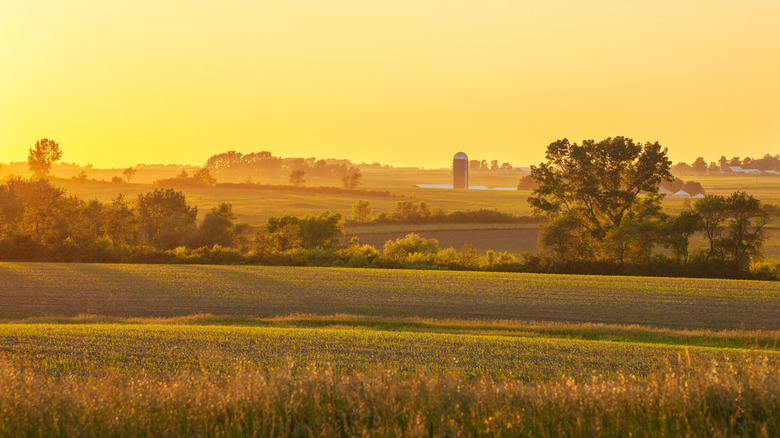 Iowa landscape at sunset