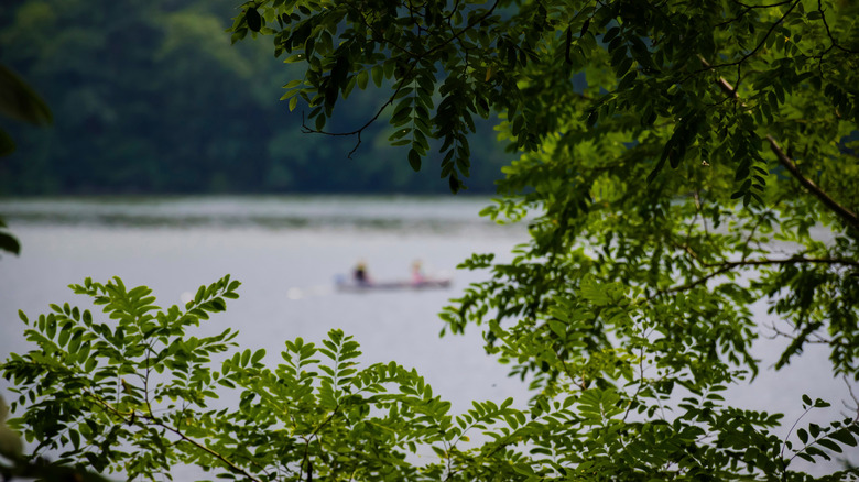 View of kayakers on the lake through the trees at Whitewater Memorial State Park