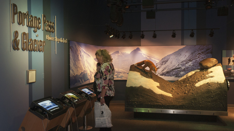 An exhibit at the Begich, Boggs Visitor Center in Portage Valley in Alaska