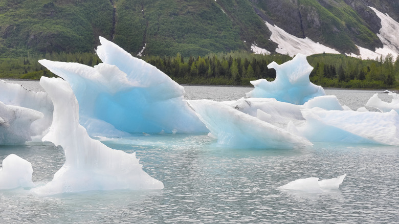 Viewing icebergs at Portage Glacier from the hour-long boat tour on Portage Lake