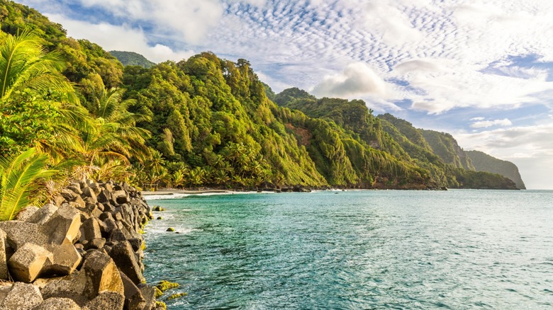 Palm trees and green cliffs by the Caribbean Sea on Martinique