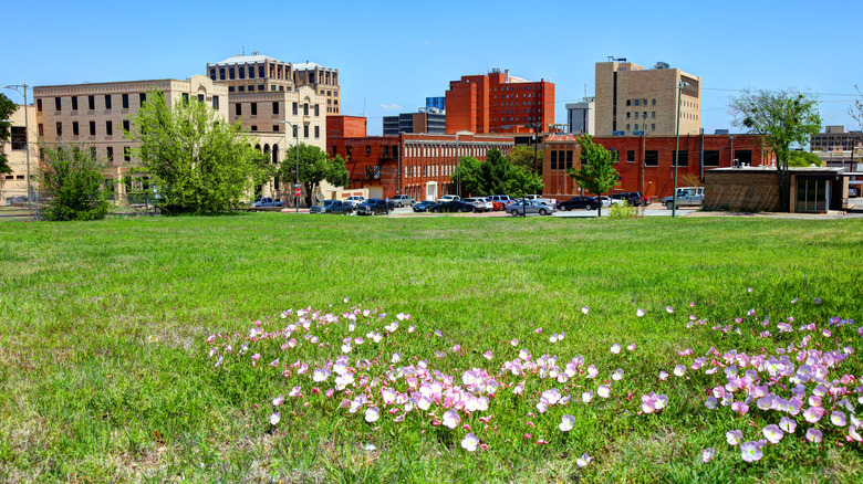 Wichita Falls downtown view from park