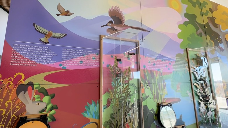 Visitor Center display at Valle de Oro National Wildlife Refuge in Albuquerque, New Mexico