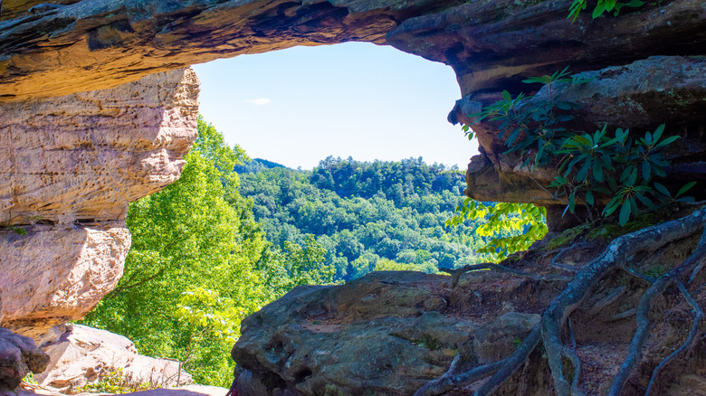 A view of Red River Gorge Geological Area through Double Arch, Kentucky