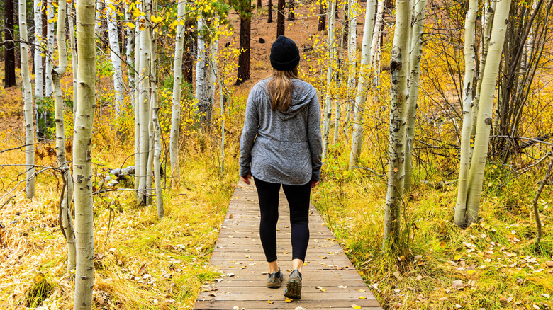 A hiker surrounded by yellow leaves and birch trees in Spooner Lake, Nevada