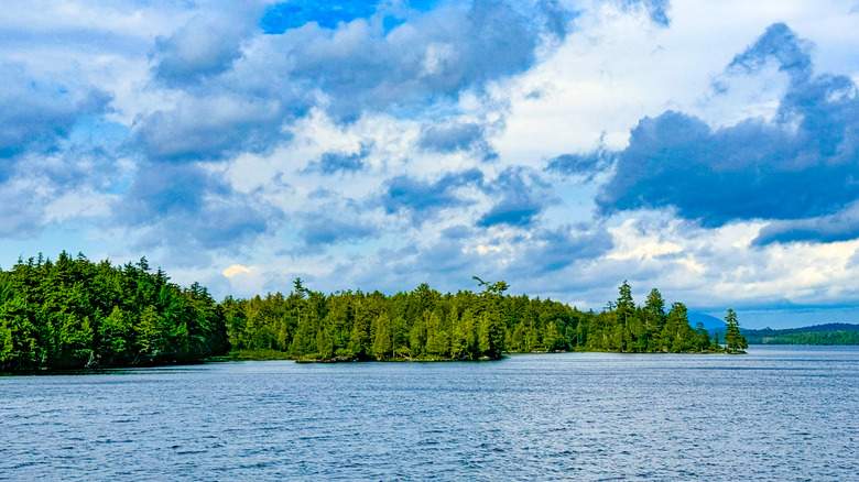 View of forested shore on Lake Raquette