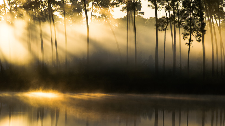 The Everglades, near Florida City