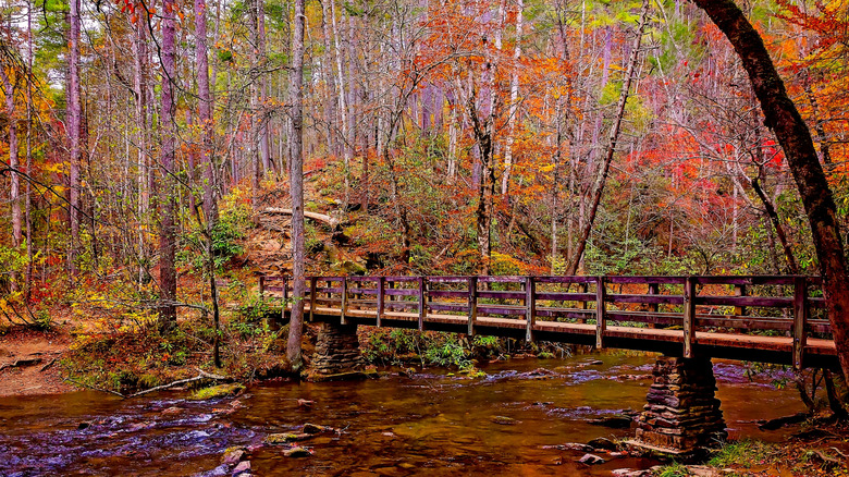 Abrams Falls in Great Smoky Mountains