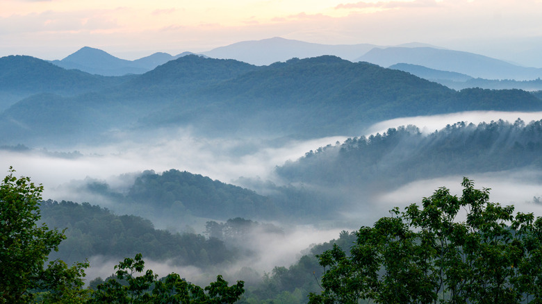 Great Smoky Mountains