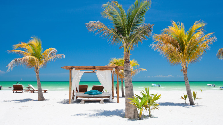 A hotel's sunbed on Isla Holbox