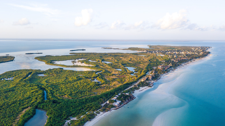 Aerial view of Holbox Island Coast in Quintana Roo, Mexico