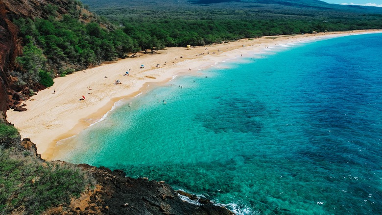 Hawaii beach landscape