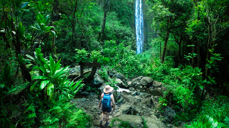 Person hiking near a waterfall