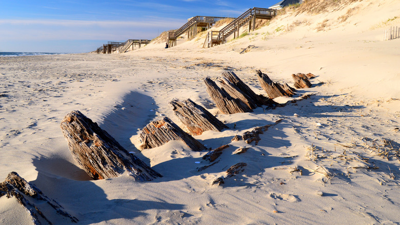 Wooden beams of an old shipwreck are exposed in the sand on an Outer Banks beach