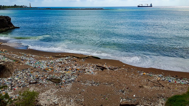 Trash on the beach in Bajos de Haina, Dominican Republic