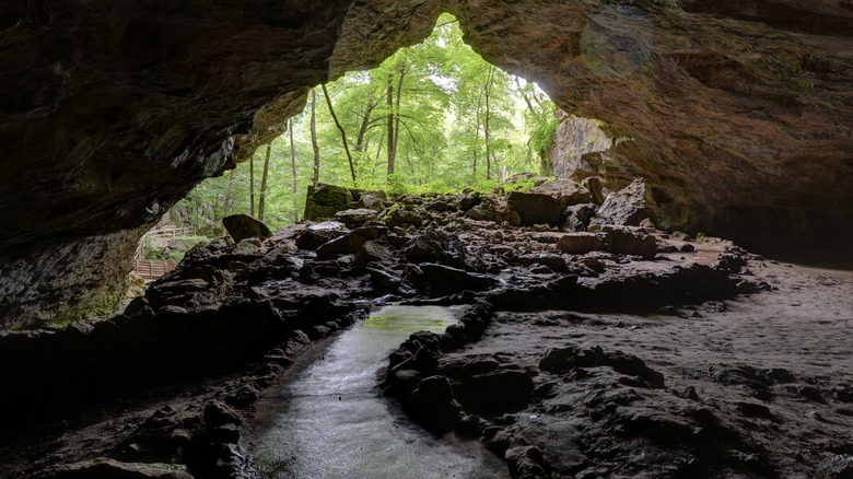 Dancehall Cave in Maquoketa Caves State Park, Iowa, USA