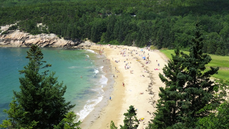 Beachgoers and surrounding forest at Sand Beach