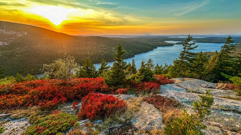 Forests, mountains and waterways at Acadia National Park