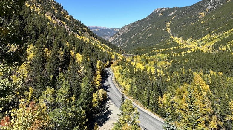 Road winding through trees and mountains in Guanella Pass.